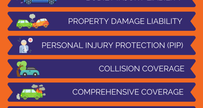 The Basics on Auto Insurance — The Insurance People